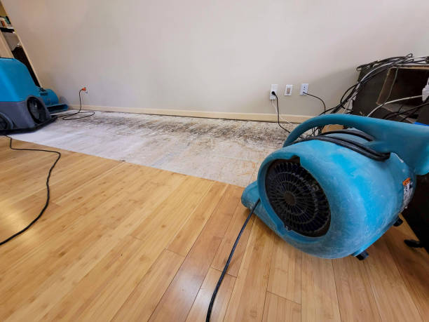 Professional Water Removal technician working in Shelby, OH